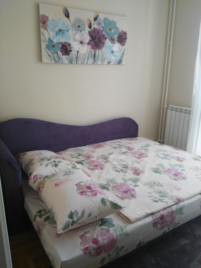 Vlado Apartment Belgrade Extérieur photo