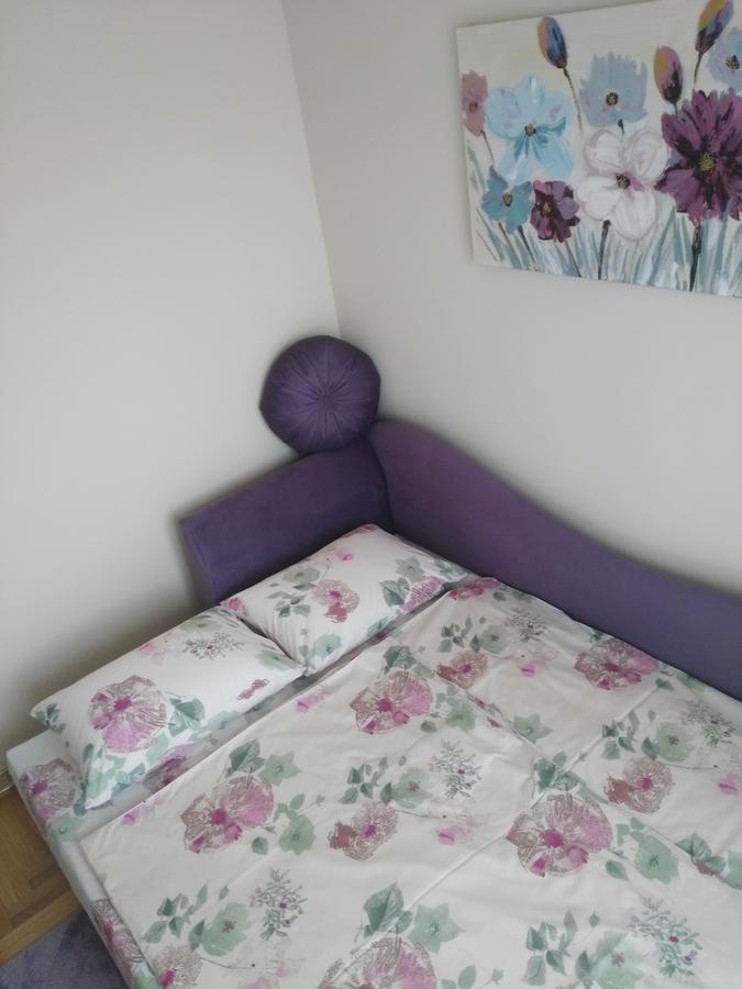 Vlado Apartment Belgrade Extérieur photo